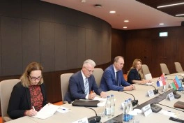 Xorvatiya şirkətlərinin Azərbaycandakı layihələrdə iştirak imkanları müzakirə olunub