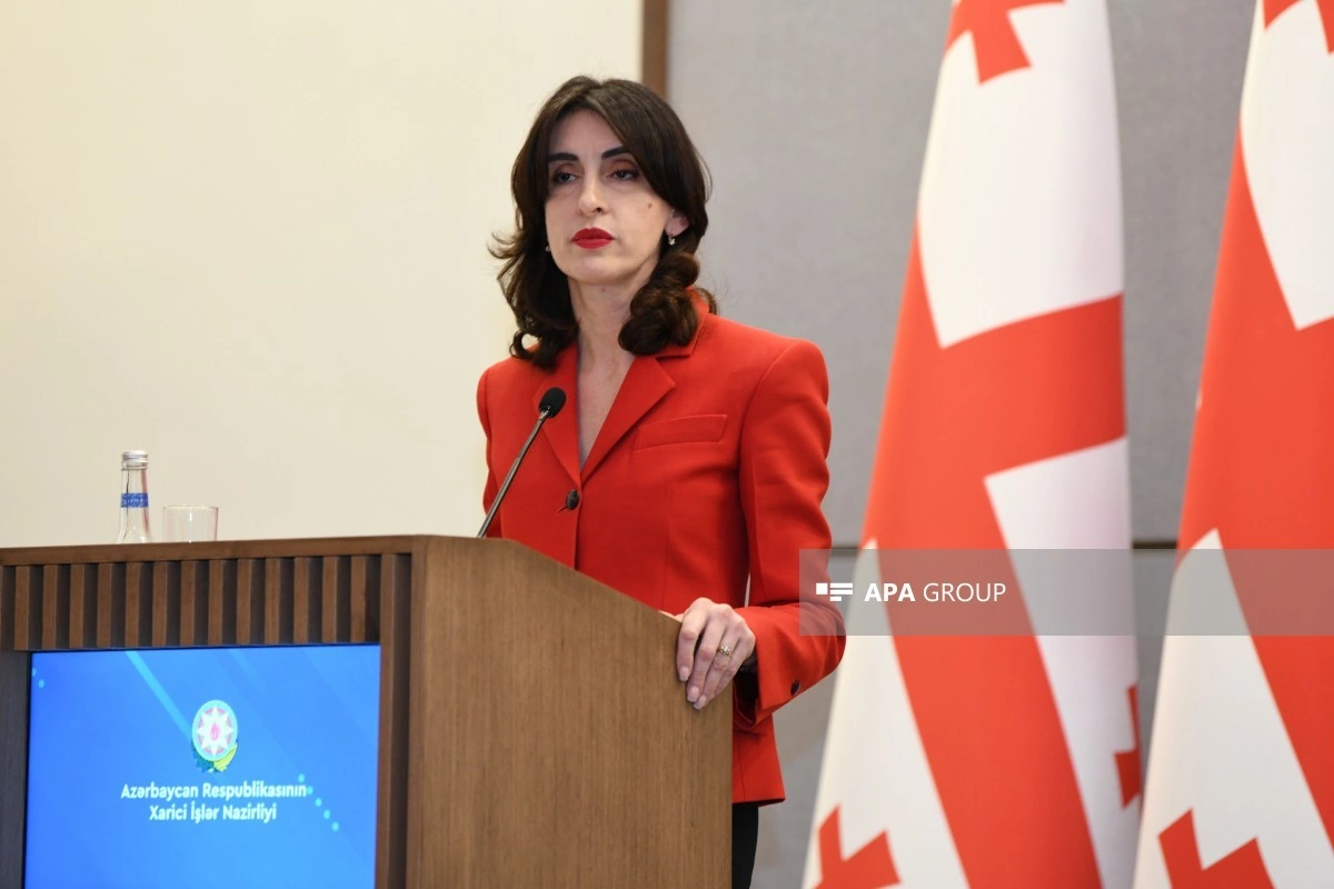 Gürcüstan XİN rəhbəri: Bakı yüksək səviyyəli konfransa ev sahibliyi edir