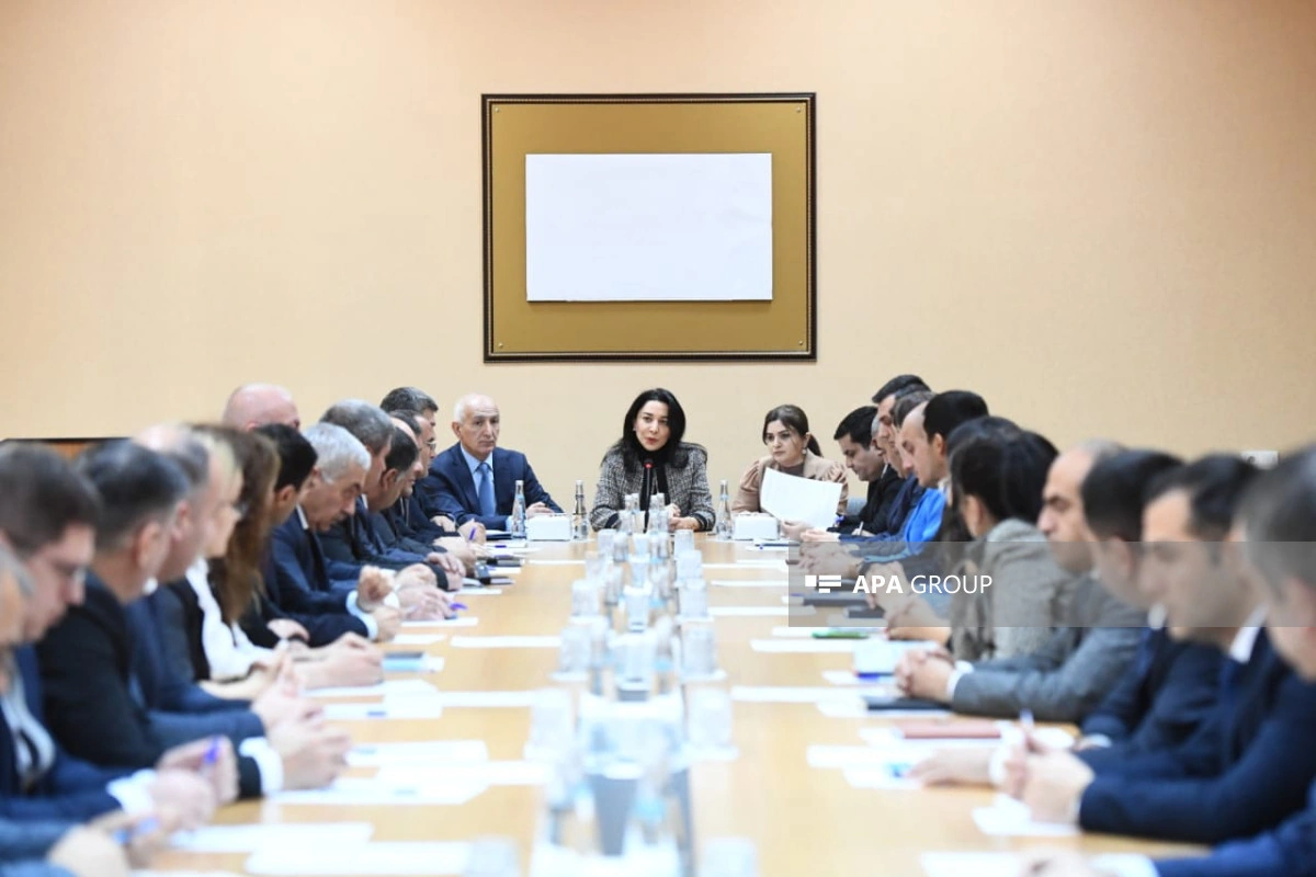 Səbinə Əliyeva: Seçki günü Ombudsman Aparatına daxil olan müraciətlər araşdırılacaq