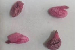 Məhkuma poçtla göndərilmiş bağlamada narkotik aşkarlanıb