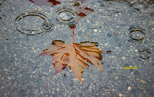 Yağışlı Bakı küçələri...  - Fotolar