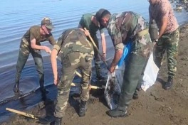 Dübəndi sahilində aşkarlanan neft qalıqları ərazidən kənarlaşdırılıb  - FOTO - VİDEO