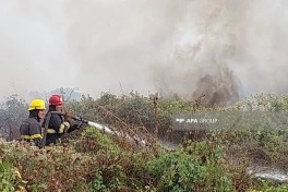 Lənkəranda bir neçə kənd və qəsəbədə yanğın baş verib - FOTO - YENİLƏNİB
