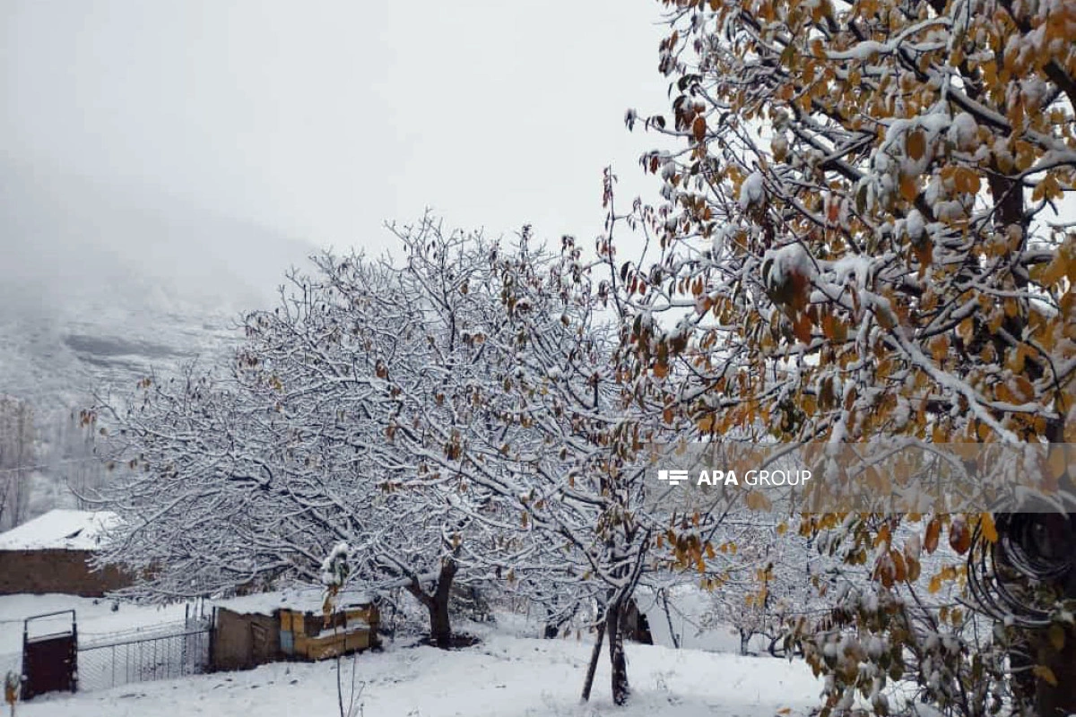Naxçıvana qar yağıb - FOTO