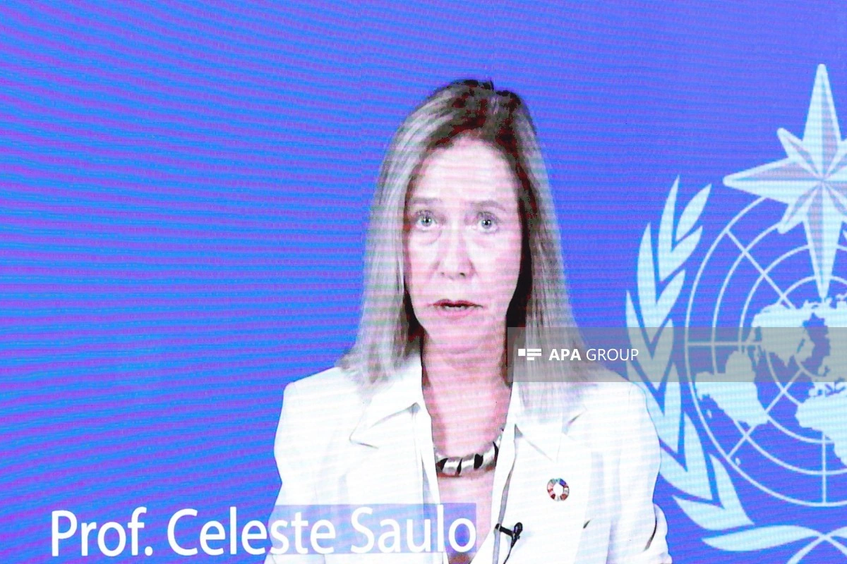 WMO Baş katibi: Süni intellekt buzlaqların monitorinqində mühüm rol oynaya bilər