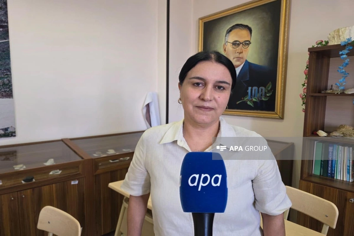 Dosent: Naxçıvanın geoloji quruluşu müxtəlif növ faydalı qazıntıların formalaşması üçün əlverişlidir