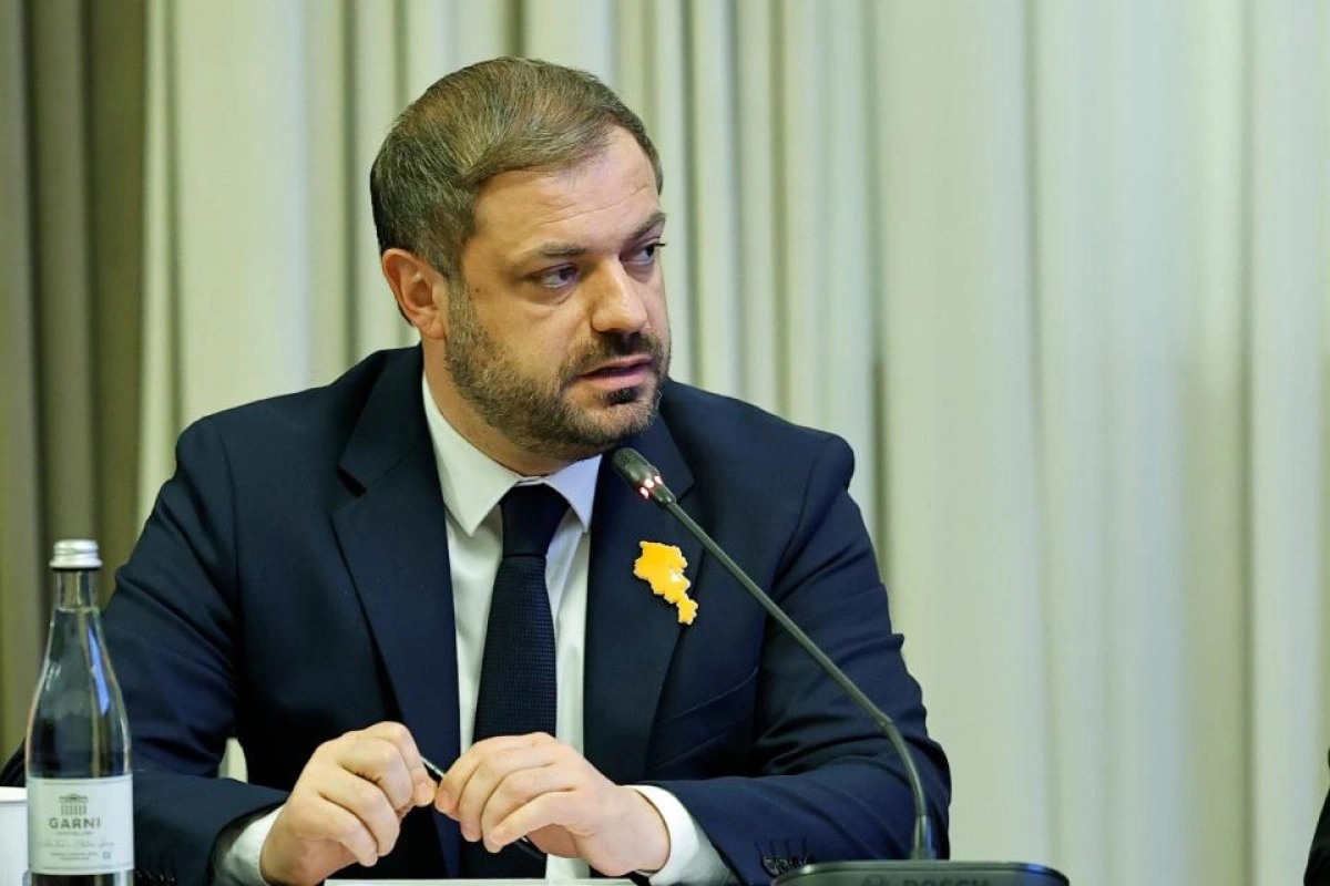 Ermənistan Rusiyanın idxal məhdudiyyətlərinin maneə kimi tanınmasını istəyir