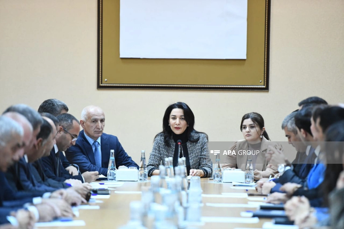 Səbinə Əliyeva: Seçki günü Ombudsman Aparatına daxil olan müraciətlər araşdırılacaq