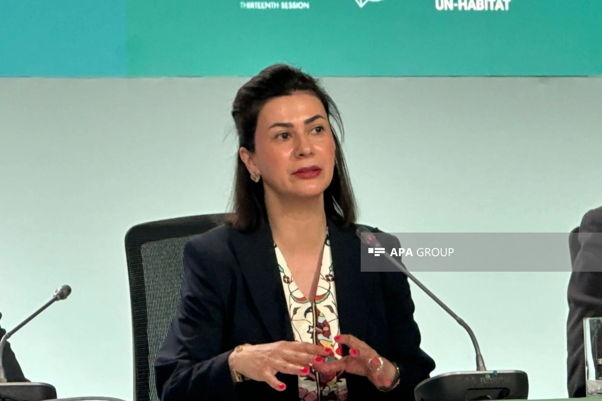 İcraçı direktor: Regional dayanıqlı enerji mərkəzləri boşluqların aradan qaldırılmasına töhfə verə bilər