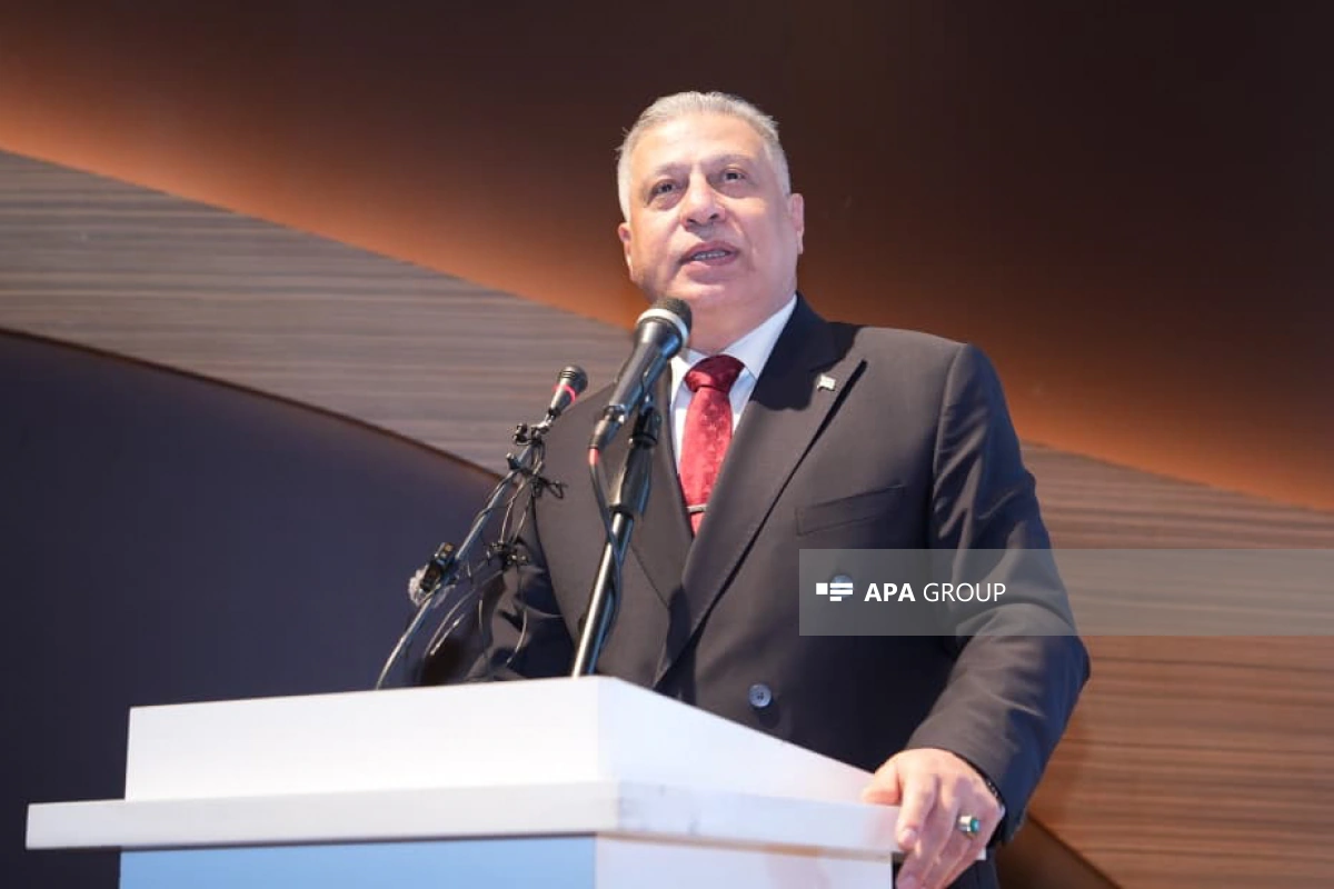 Ərşad Salehi: TDT-də xaricdə yaşayan türklərin təmsilçiliyi üçün nümayəndəlik yaradılsın