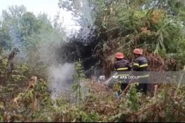 Lənkəranda bir neçə kənd və qəsəbədə yanğın baş verib - FOTO - YENİLƏNİB