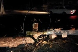 Lənkəranda güclü külək fəsadlar törədib, elektrik təsərrüfatına ciddi ziyan dəyib - FOTO