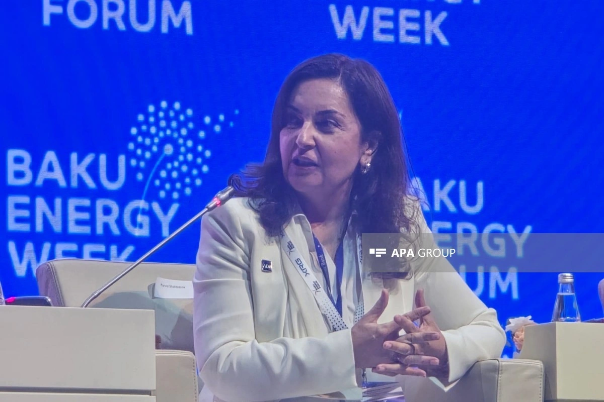 ADB: Enerji keçidində investorlar üçün bazarın miqyası həlledici əhəmiyyət daşıyır