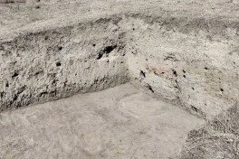 Cəlilabadın Xudutəpə yaşayış məskənində arxeoloji qazıntılara başlanılıb