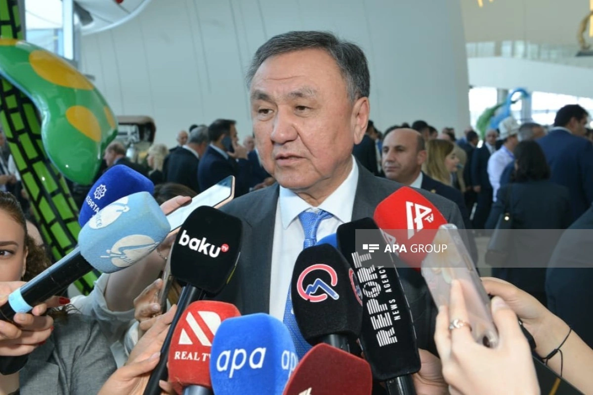 TDT Baş katibi: Birinci Türkoloji Qurultayın 100 illik yubileyi xalqlarımız üçün tarixi əhəmiyyət daşıyır