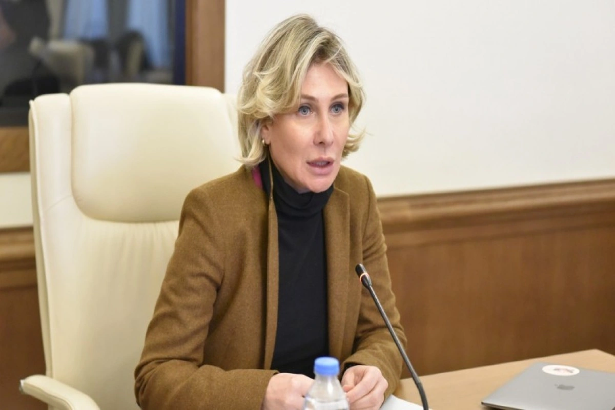 Vitse-spiker: Azərbaycanın siyasi dəstəyi Gürcüstan üçün həyati əhəmiyyət kəsb edir