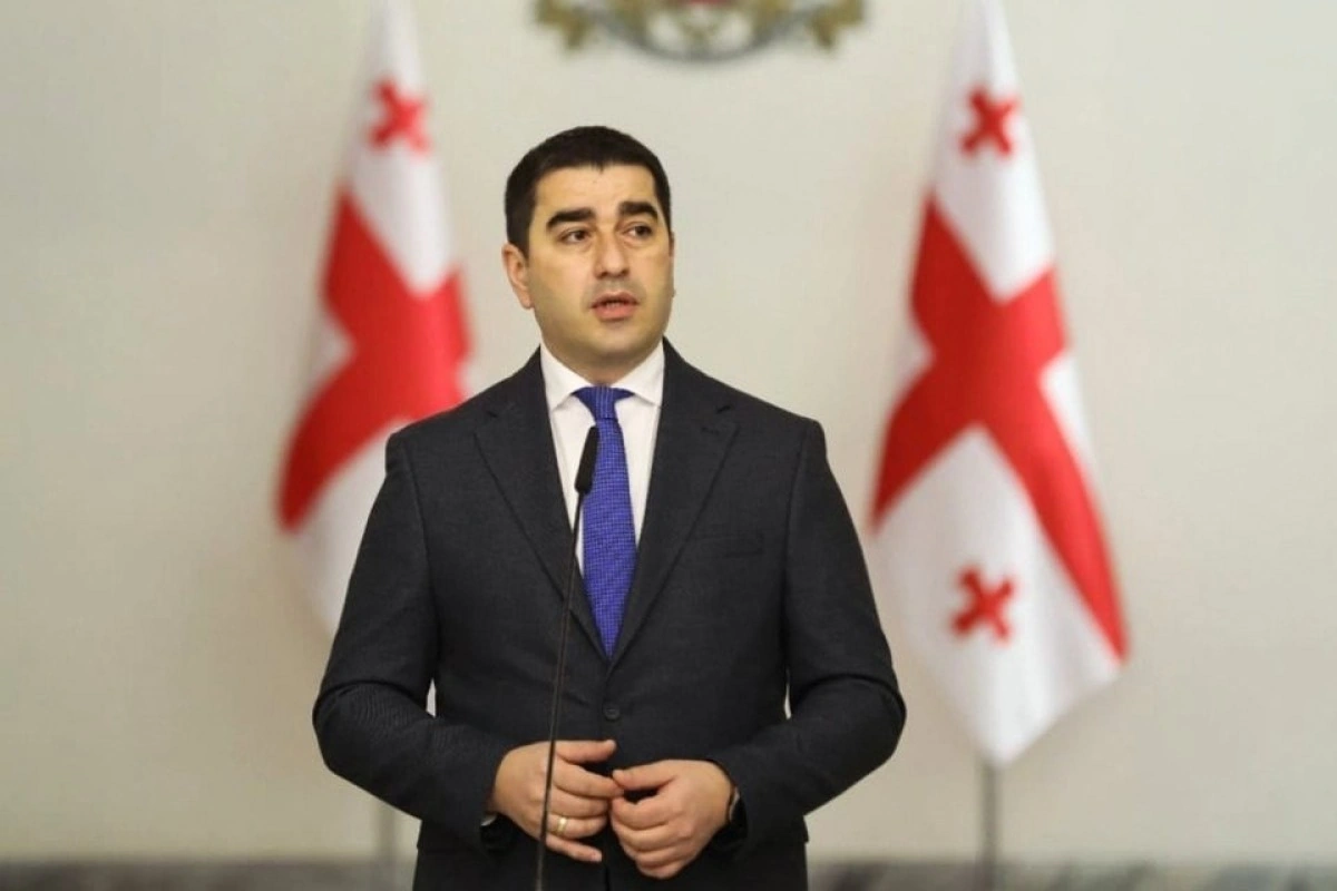 Papuaşvili: Rusiya Gürcüstanın ərazi bütövlüyünü tanımalıdır