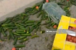 Ucarda yük maşını aşıb, avtomobildə olan pomidor-xiyar yola dağılıb - FOTO