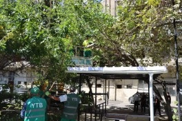 Bakıda güclü küləklərlə bağlı qabaqlayıcı tədbirlər görülür