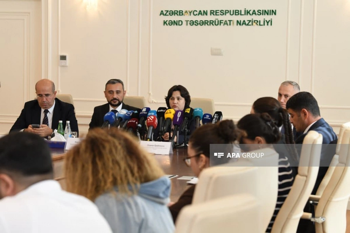 Azərbaycanda toxum bazarına nəzarət gücləndiriləcək