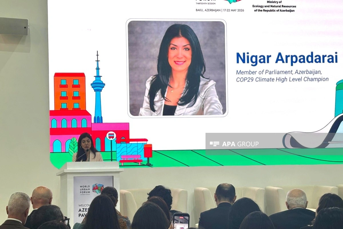 Nigar Arpadarai: Azad edilmiş ərazilərdə bərpa işləri dayanıqlılıq prinsiplərinin tətbiqi üçün imkanlar yaradır