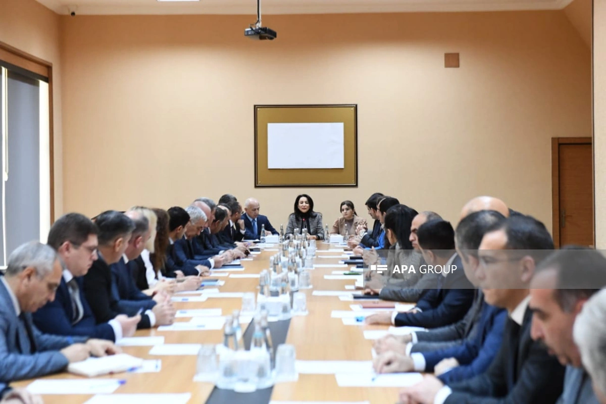 Səbinə Əliyeva: Seçki günü Ombudsman Aparatına daxil olan müraciətlər araşdırılacaq