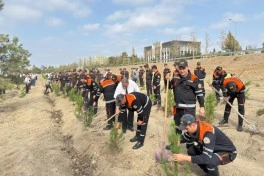 FHN-in strukturlarında Anım Gününə həsr olunmuş silsilə tədbirlər keçirilib