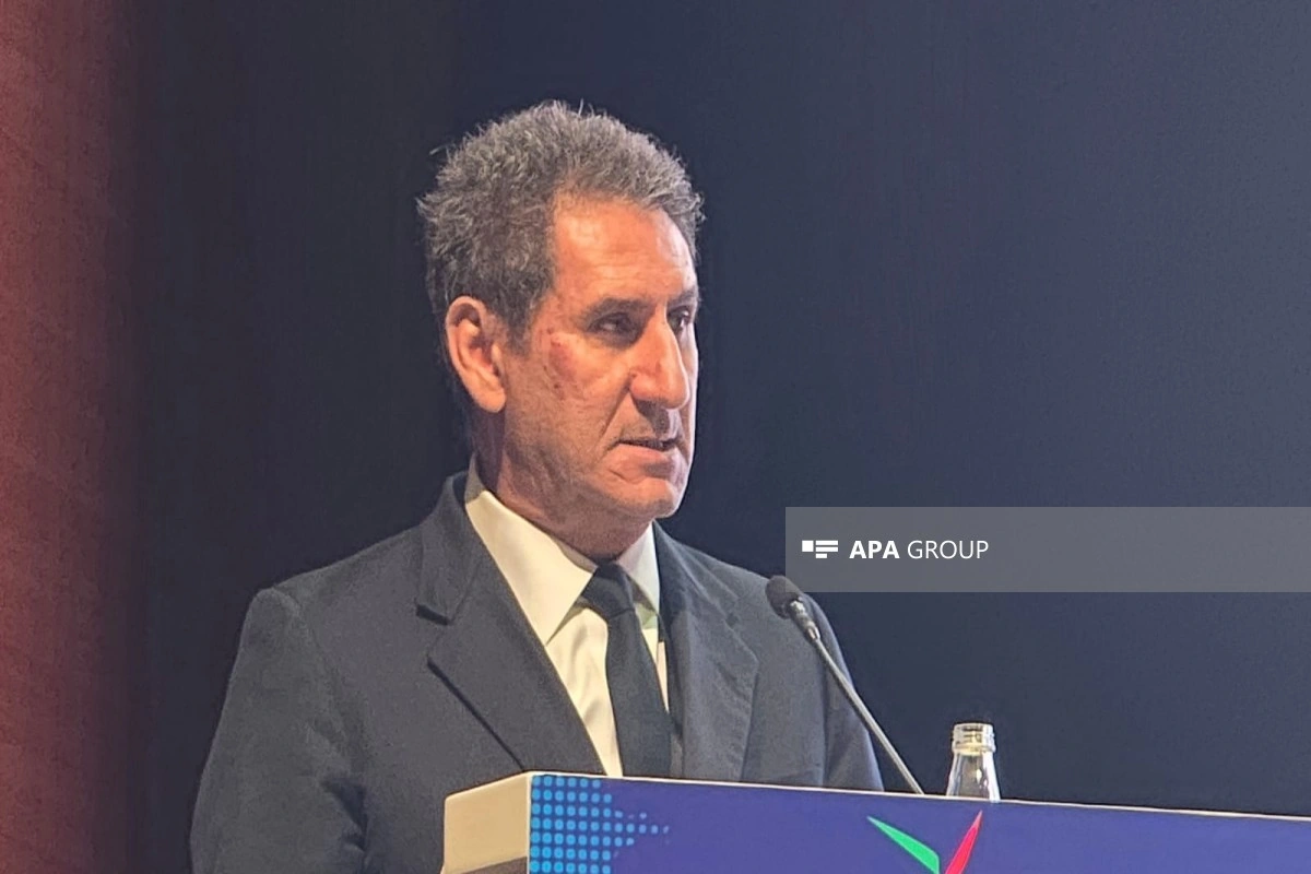 IRENA: Mərkəzi Asiya qlobal enerji keçidində dönüş nöqtəsinə çatıb