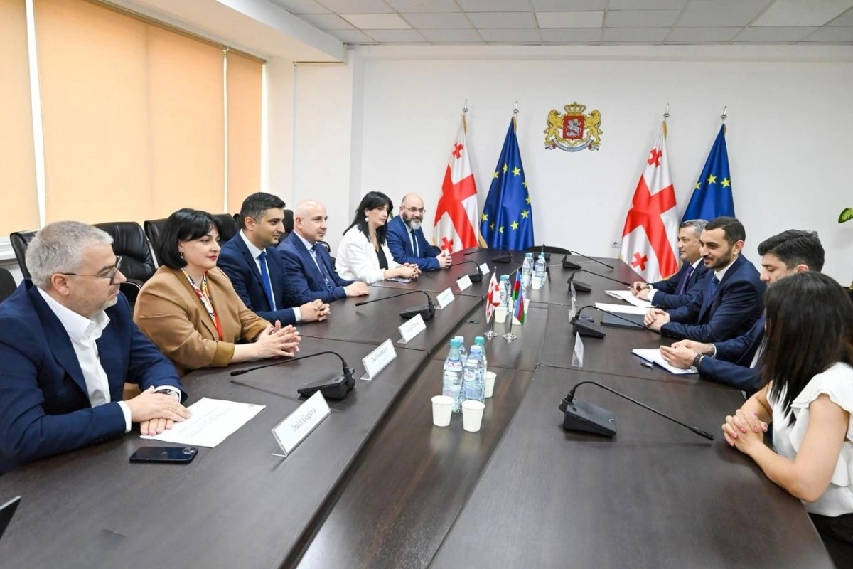 DSMF sədri Gürcüstan Sosial Xidmət Agentliyinin direktoru ilə görüşüb