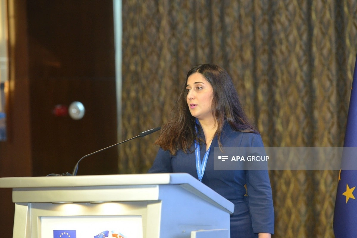 Son bir ildə Qarabağ və Naxçıvana investisiya yatıran Aİ şirkətlərinin sayı xeyli artıb