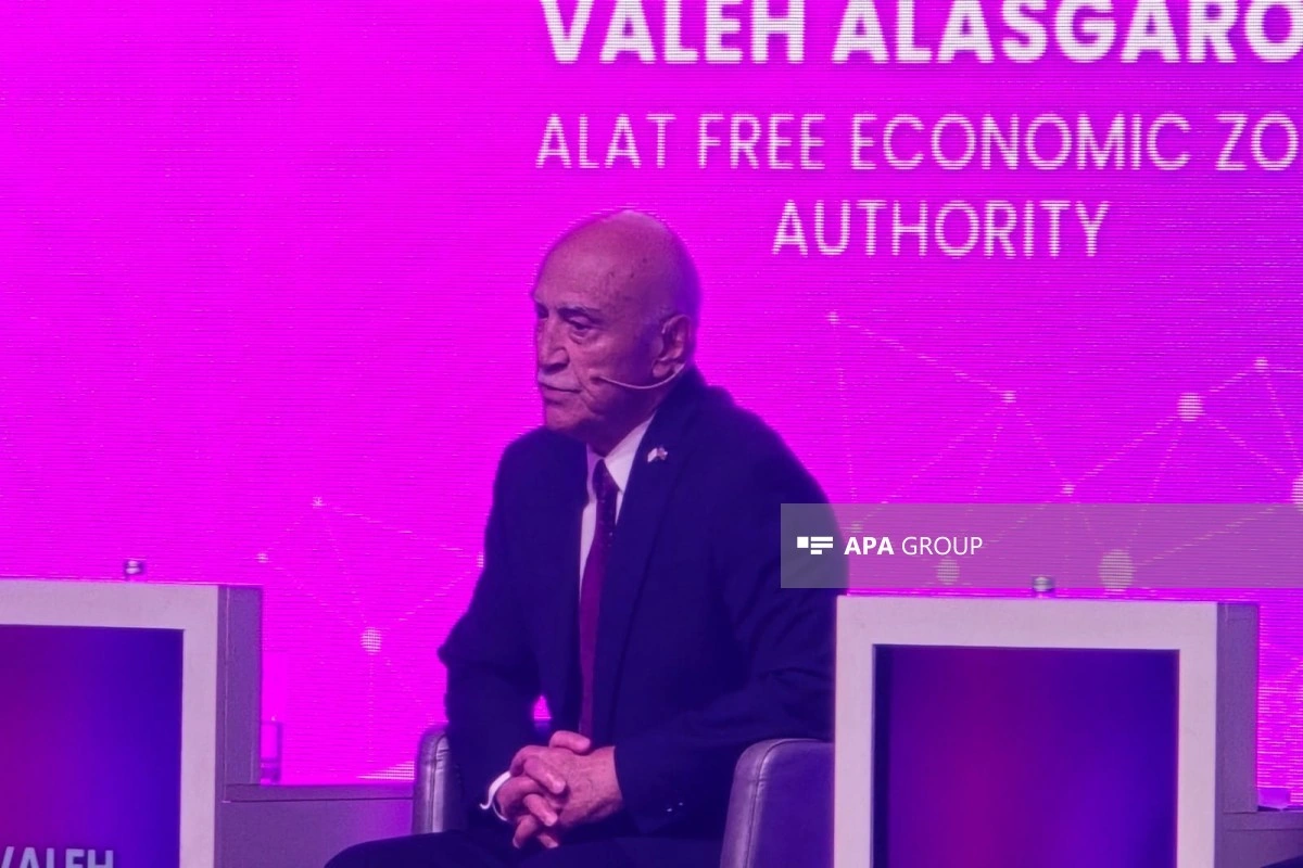 Valeh Ələsgərov: Ələt Azad İqtisadi Zonasının yanaşmasına görə bəzən tənqid olunuruq