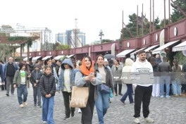 Bakı Bulvarında Zeytun Festivalının son günüdür  - FOTOLENT