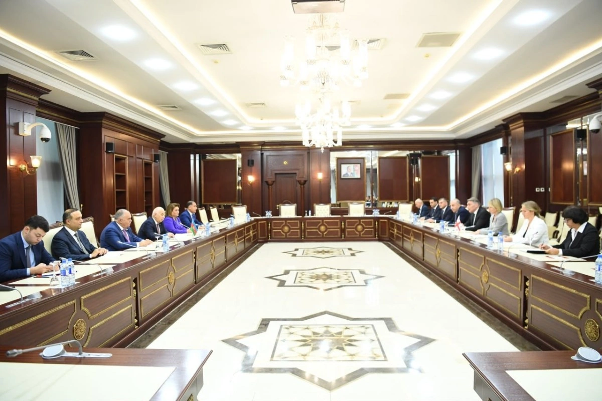 Prezidentin qanunu imzalamadan Milli Məclisə geri qaytarmasına aydınlıq gətirilib