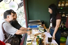 Bakı Bulvarında Zeytun Festivalı davam edir - FOTO