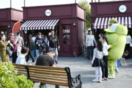 Bakı Bulvarında Zeytun Festivalı davam edir - FOTO