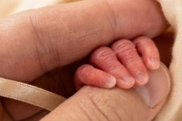 Babək rayonunda üçəm doğulub