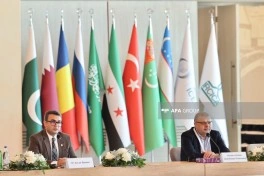 Beynəlxalq Bakuvi Konfransının bölmə iclasları keçirilib - FOTO