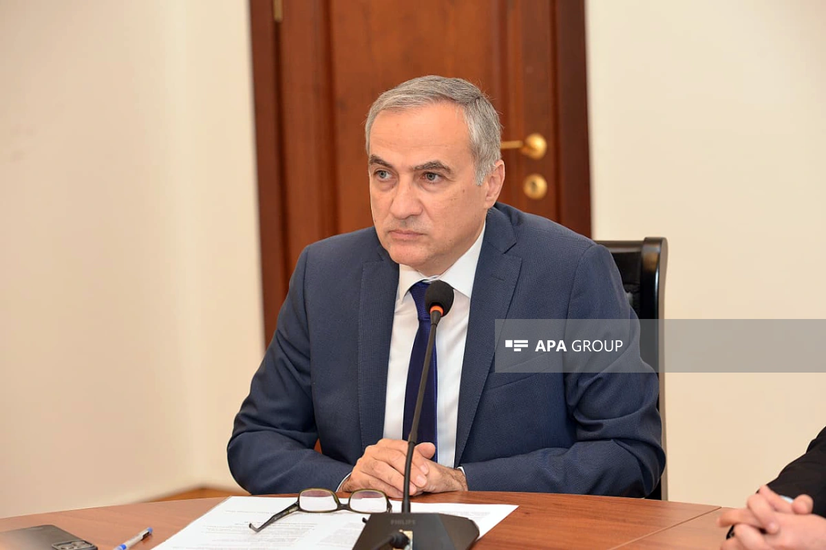 Fərid Şəfiyev: Bizə Ermənistanın sülh prosesinə referendumla münasibət bildirməyi lazımdır