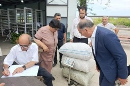Xocalıda 34 ildən sonra ilk dəfə barama tədarükü həyata keçirilib - FOTO