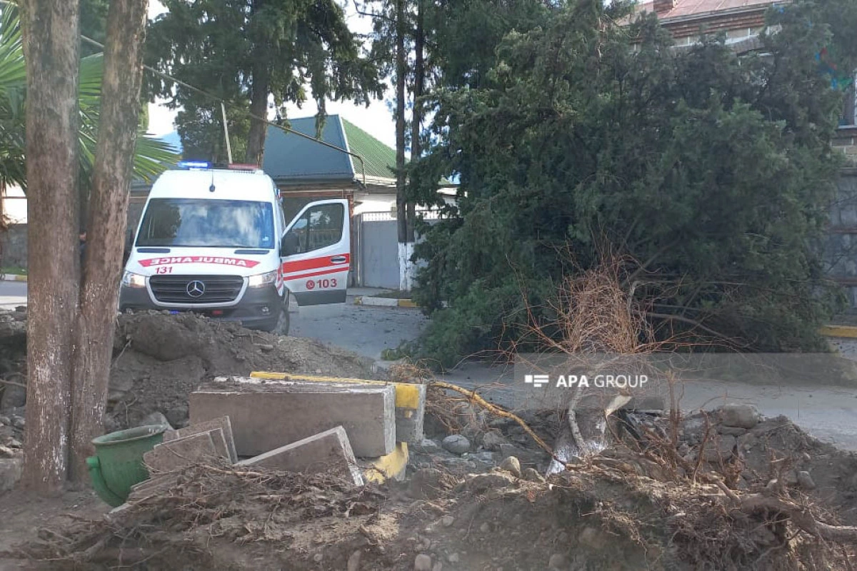 Zaqatalada külək irigövdəli ağacları yola aşırıb, xəsarət alan var - FOTO - YENİLƏNİB