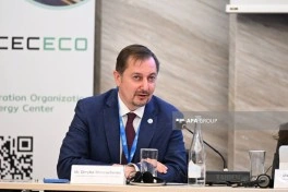 Bakı İqlim Fəaliyyəti Həftəsi çərçivəsində növbəti panel müzakirə keçirilib - FOTO