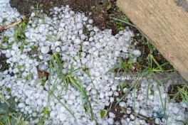 Lənkəranda güclü küləklə müşahidə olunan dolu bir sıra fəsadlar törədib