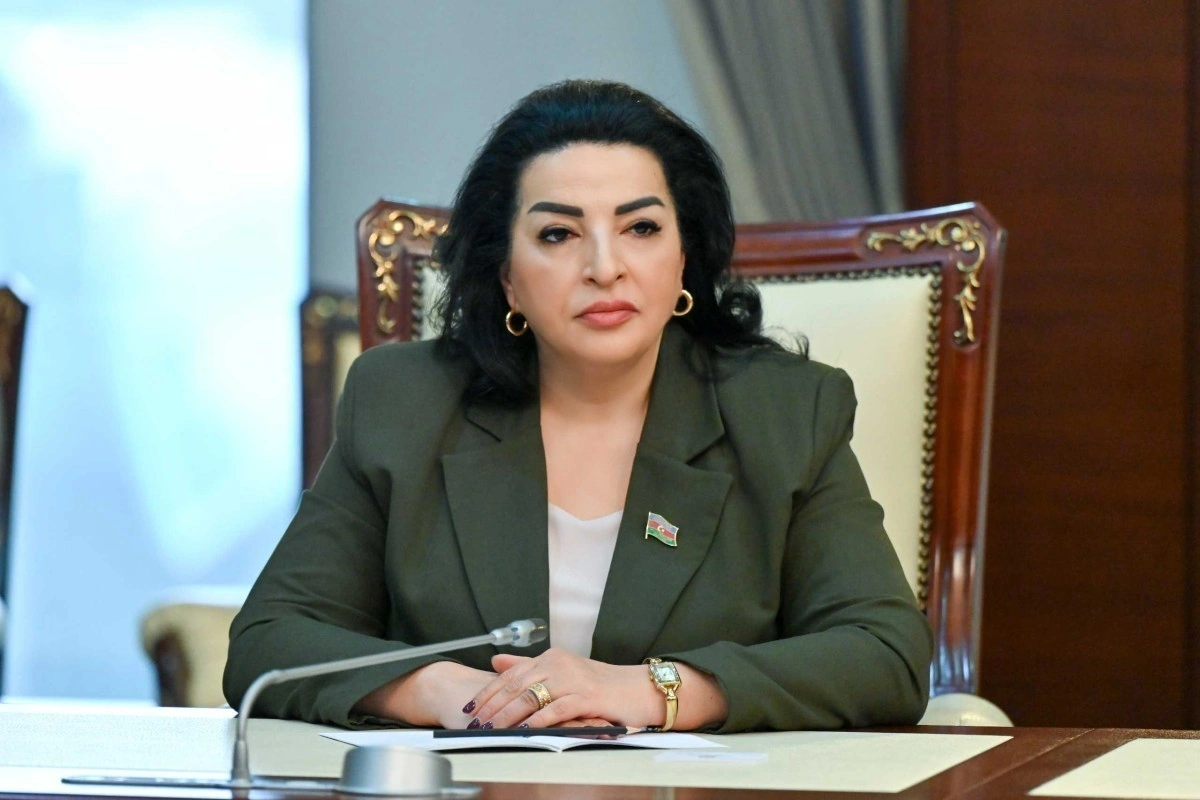 Deputat: Enerji effektivliyi ilə bağlı qanunvericiliyin təkmilləşdirilməsi mühüm əhəmiyyət daşıyır
