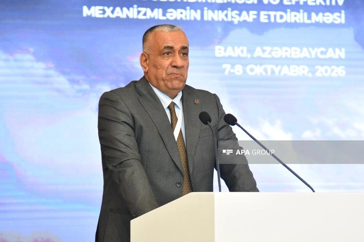 BMT nümayəndəsi: İtkinlərlə bağlı davamlı səylərin göstərilməsi vacibdir