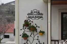 Suqovuşan və Talış kəndlərində görülən işlər açıqlanıb - FOTO