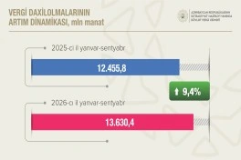 Qeyri-neft-qaz sektorundan vergi daxilolmaları 12,6% artıb