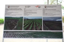 Xocalının Daşbulaq kəndində baramaçılığın inkişafı üçün yaradılmış infrastruktura baxış keçirilib