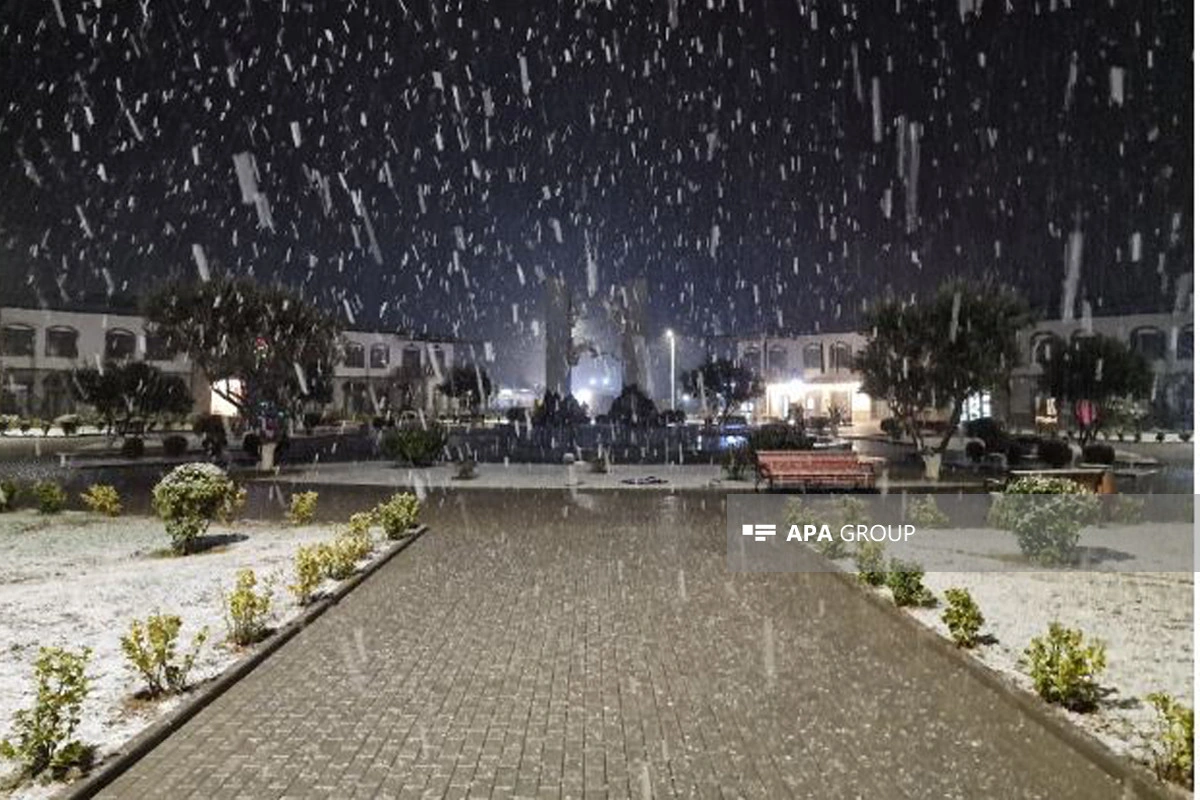Zəngilanın əksər yerləri ağ örpəyə bürünüb - FOTO