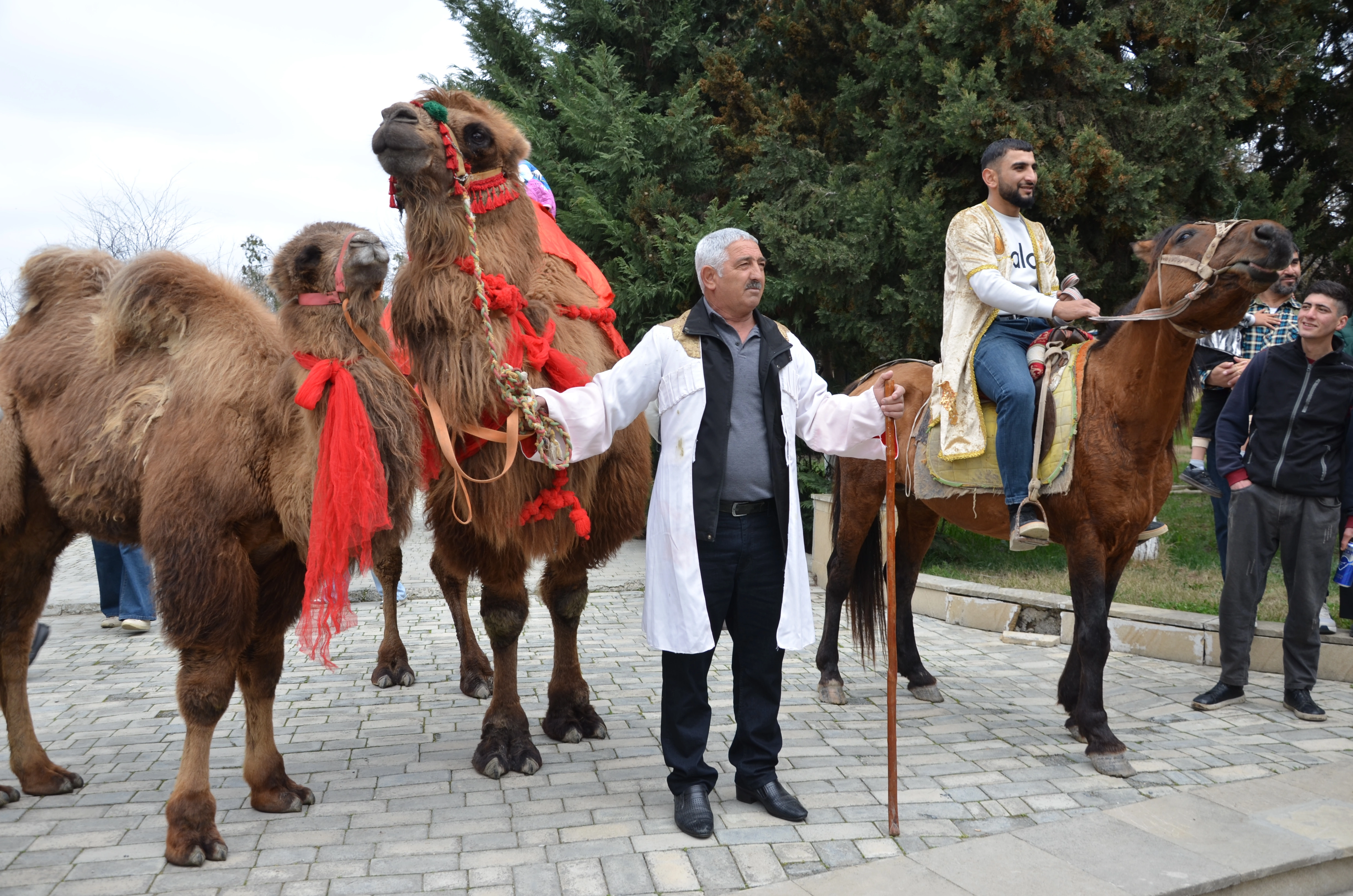 BƏƏ ilə nəqliyyat və kommunikasiya sektorları üzrə əməkdaşlıq müzakirə edilib