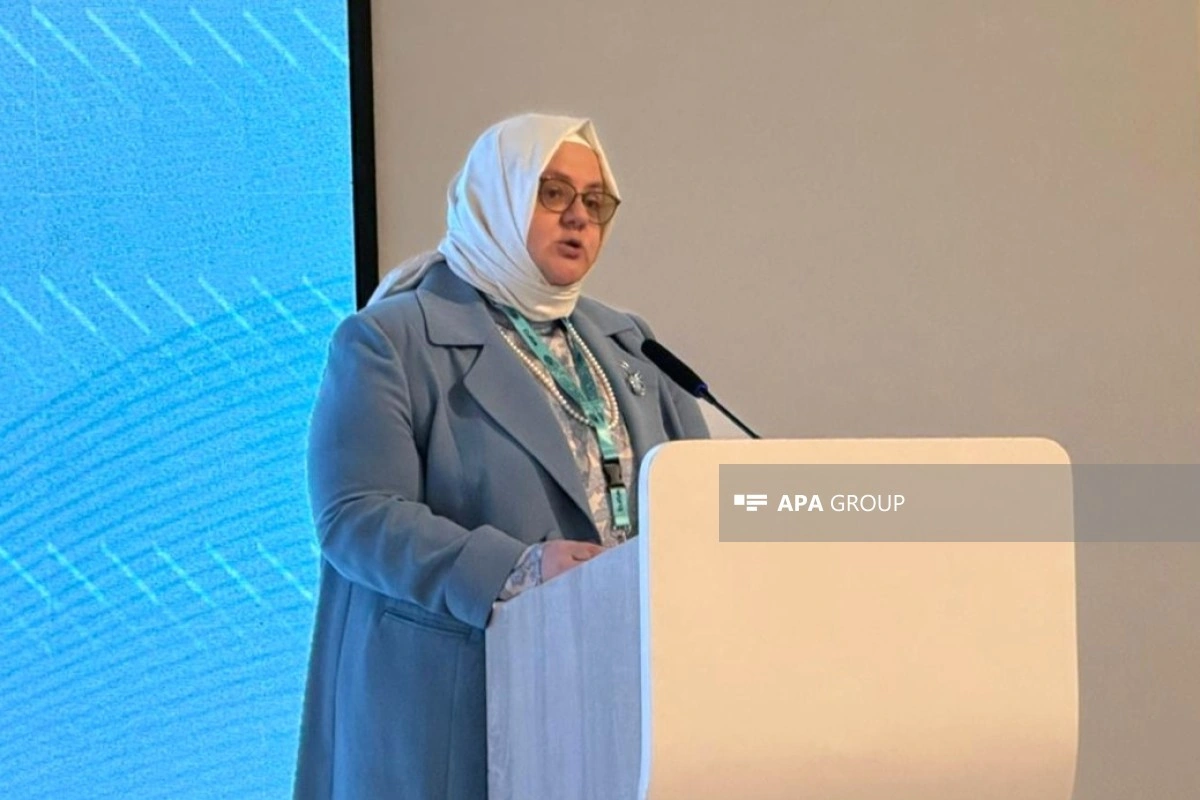Baş direktor: KOB-lara investisiya dayanıqlı inkişaf və uzunmüddətli rifaha investisiyadır